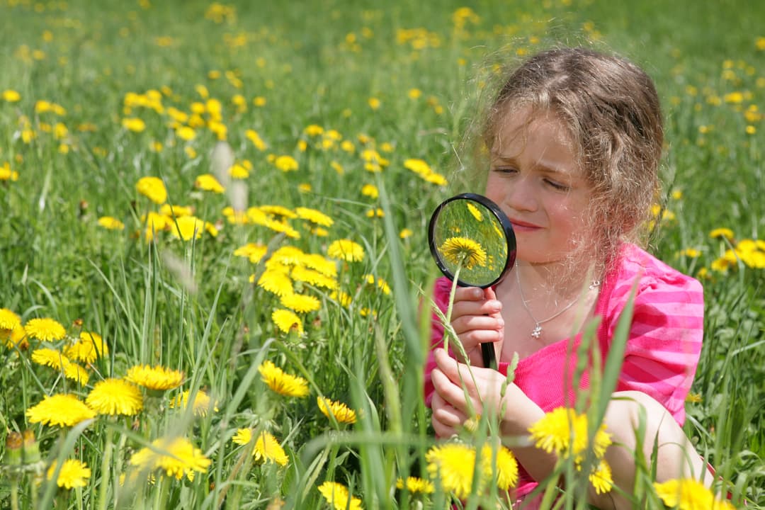 Forskning kring barn och ungdomar